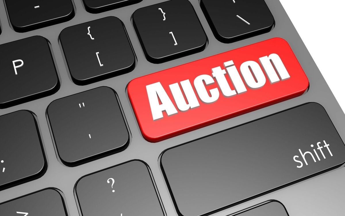 How Auctions Work – From Online Bidding to Government Asset Sales