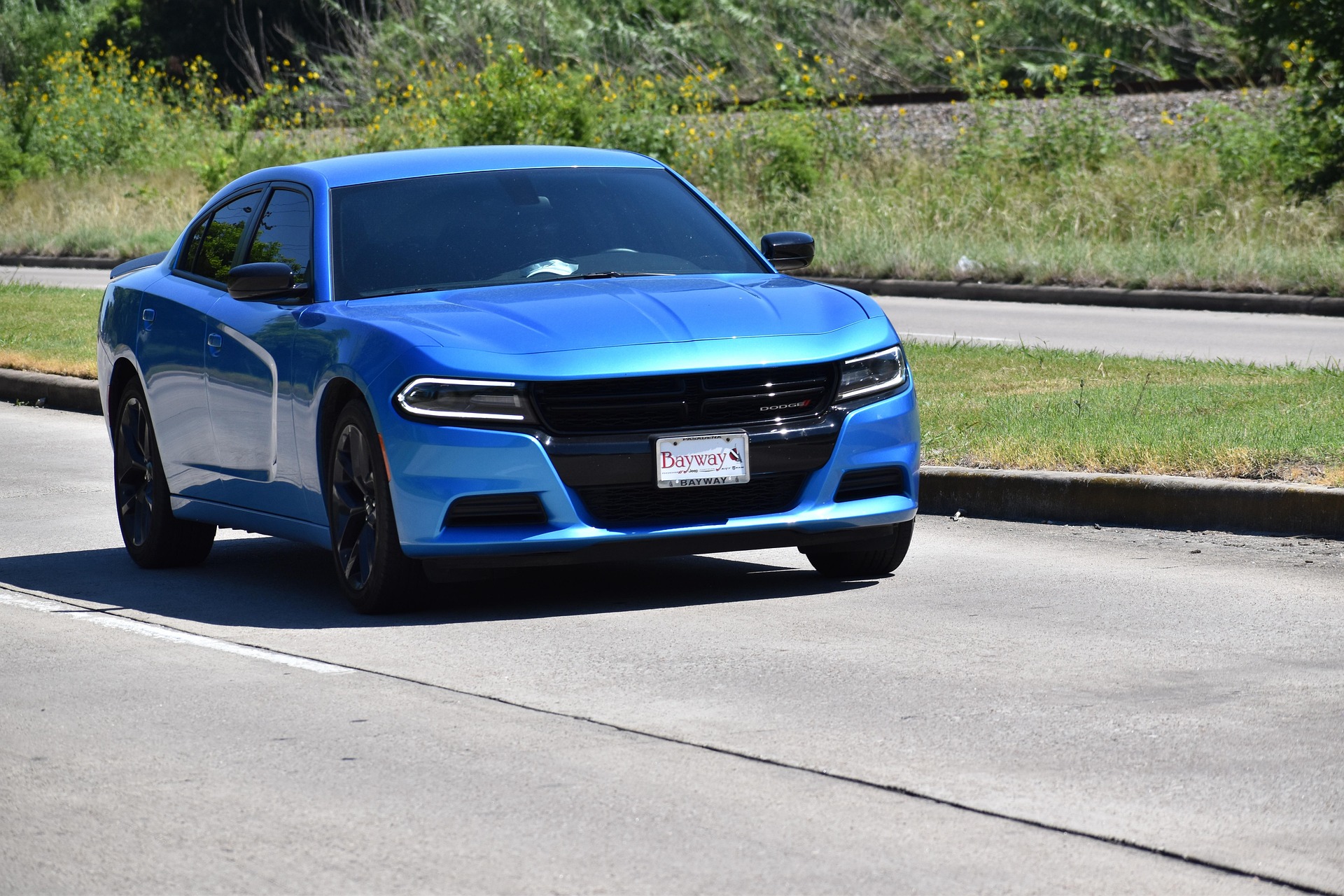 Electric vs. Gasoline Cars: Which One Should You Buy?